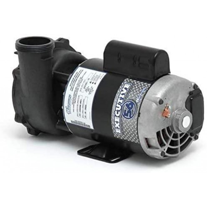 Waterway Plastics 3721221-13 Executive 56 Frame 3 Horsepower Spa Pump