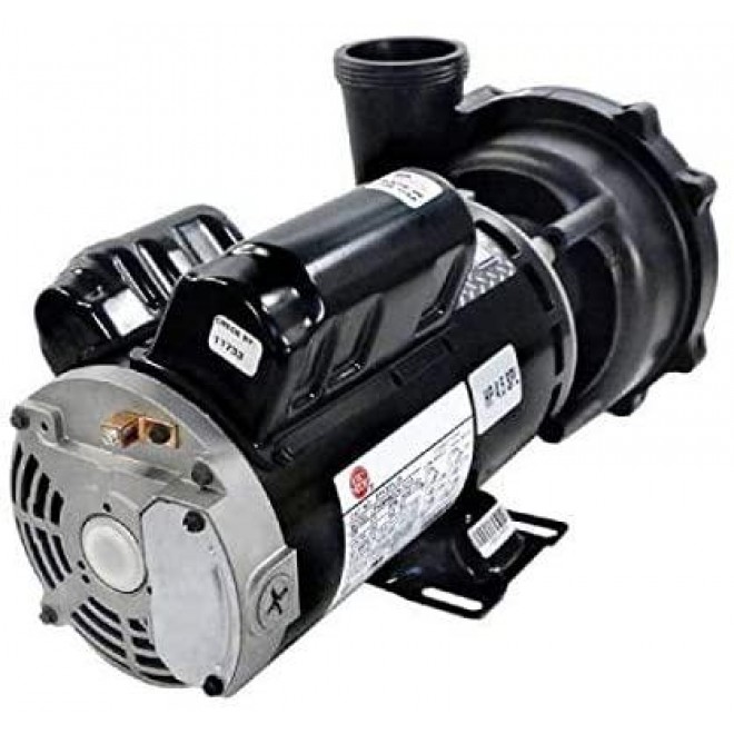 Waterway 3420610-1A Spa Pump Side Discharge