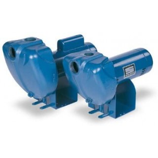Pentair DS3HF-01 Single-Phase Self Priming High Head Centrifugal Pool and Spa Pump, 1-1/2 HP