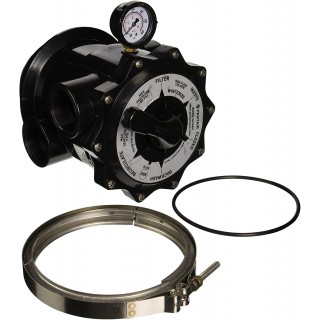 Pentair 261185 2-Inch 6-Way Clamp Style Valve Replacement Tagelus Pool and Spa Sand Filter