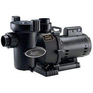 Jandy Zodiac FHPM2.0 FloPro 230/115 VAC 2.0HP Medium Head Pump