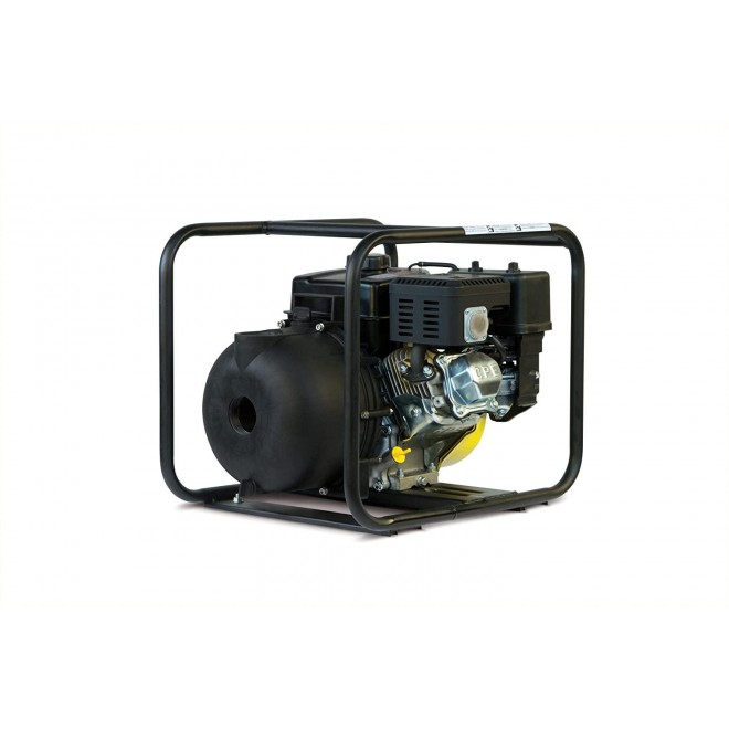 Champion 2-Inch Gas-Powered Chemical and Clear Water Transfer Pump